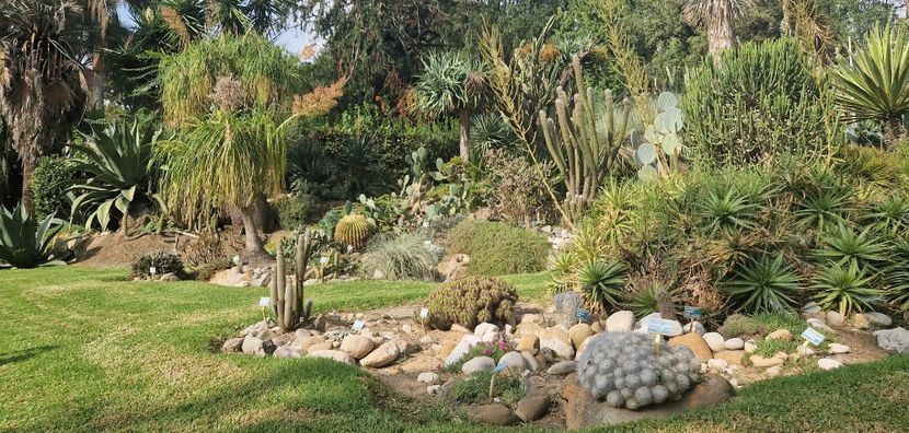  - 2023 Gradina Botanica Napoli