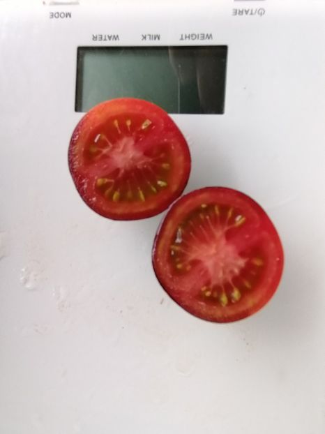  - SEMINTE ROSII - T 1011 J L MIDNIGHT