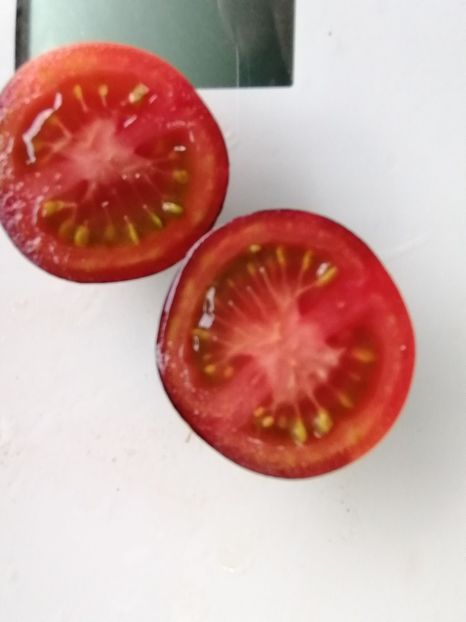  - SEMINTE ROSII - T 1011 J L MIDNIGHT