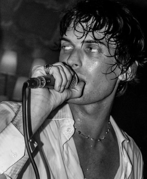 i was thinking abt the thousands of bug wars that happen every day that we dont know about - Collection of Tintypes