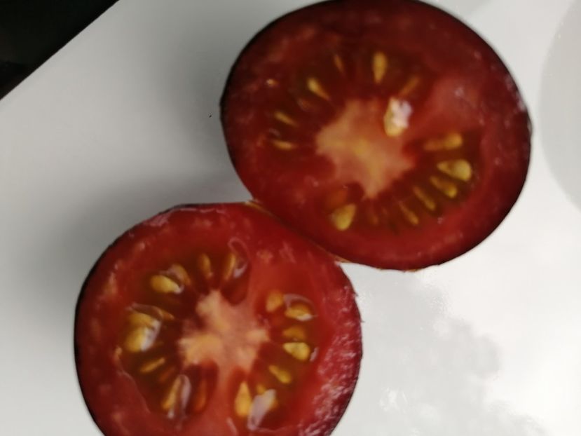  - SEMINTE ROSII - T 1012 HELSING JUNCTION BLUE