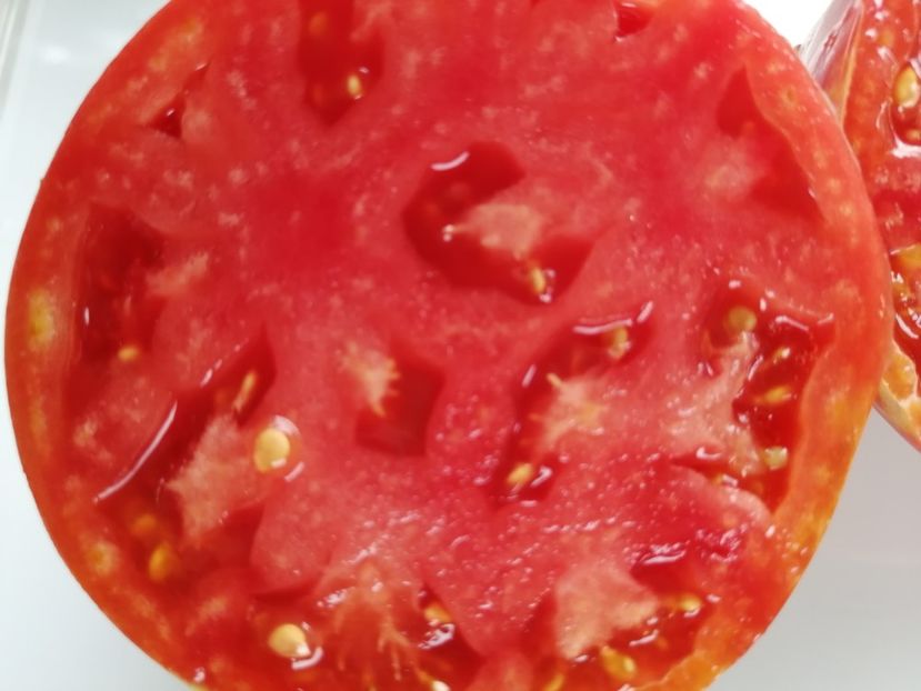  - SEMINTE ROSII - T 996 LILA - Ion