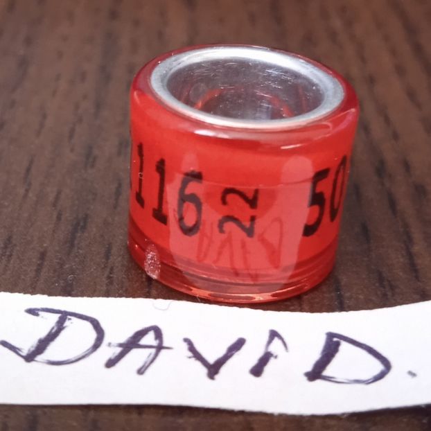 2022-GERMANIA - Germania