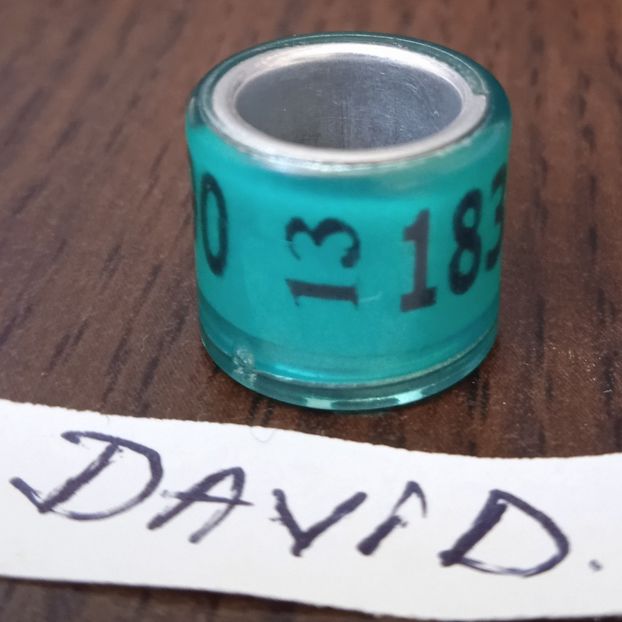 2013-GERMANIA - Germania