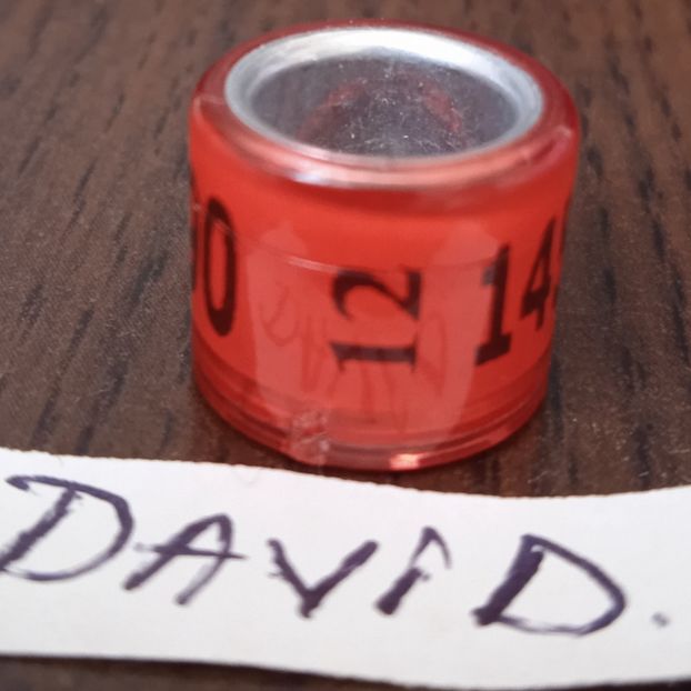 2012-GERMANIA - Germania