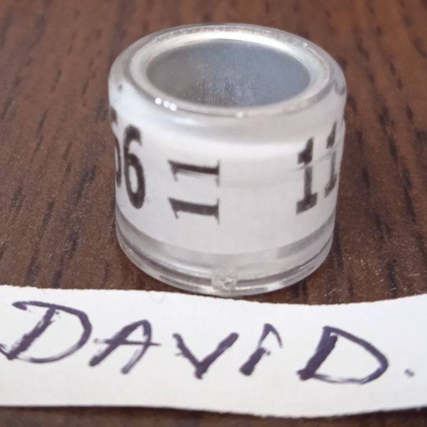 2011-GERMANIA - Germania