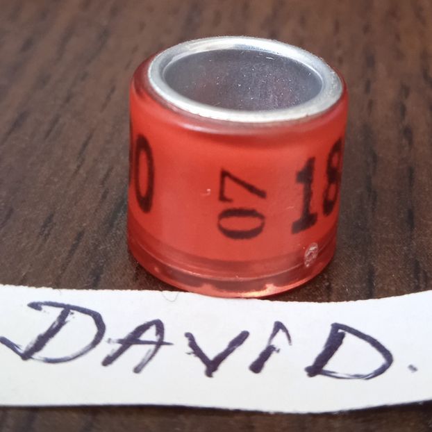 2007-GERMANIA - Germania