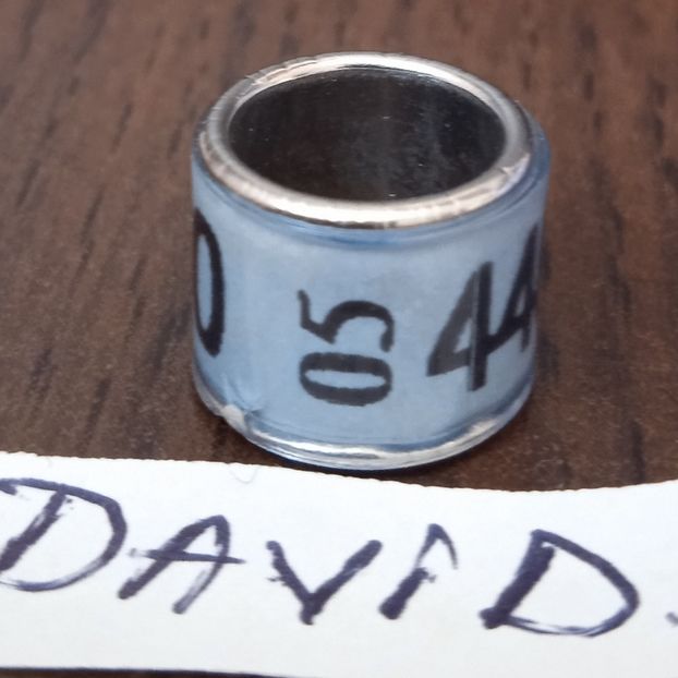 2005-GERMANIA - Germania