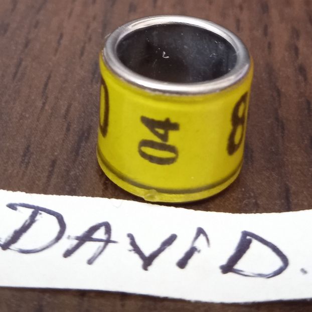 2004-GERMANIA - Germania