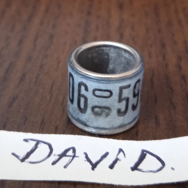 1990-GERMANIA - Germania