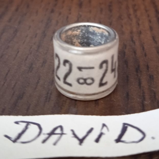 1981-GERMANIA - Germania