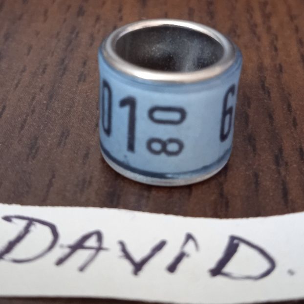 1980-GERMANIA - Germania