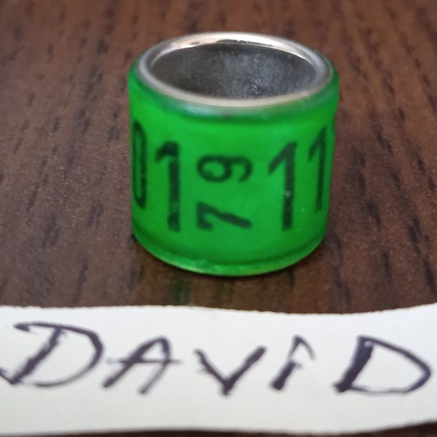 1979-GERMANIA - Germania