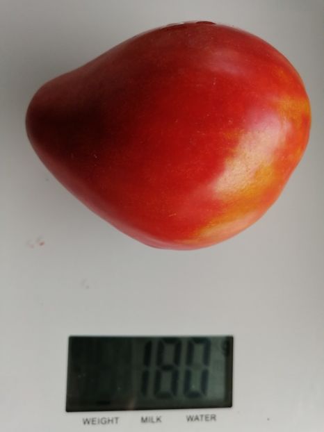  - SEMINTE ROSII - T 1016 PIKOLUZE Ion