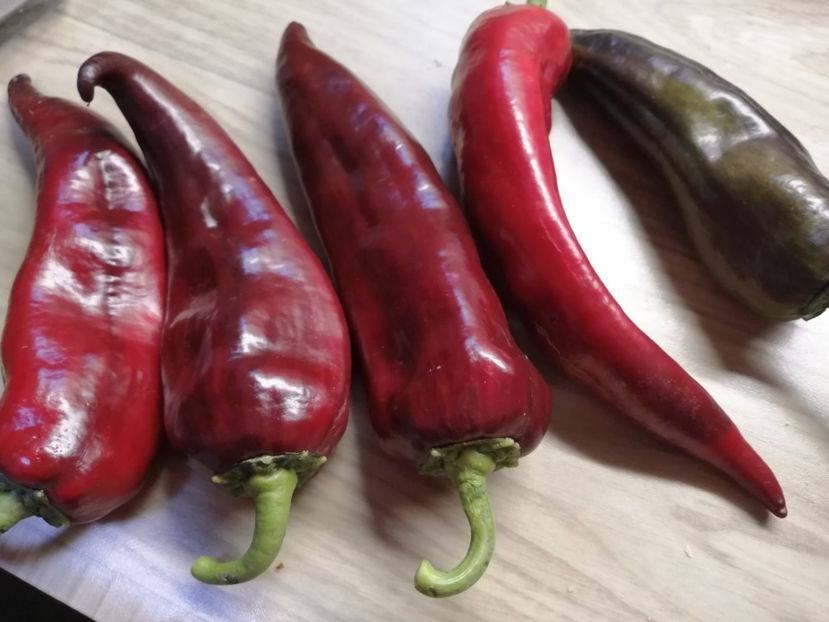  - SEMINTE ARDEI - A 87 MARCONI PURPLE