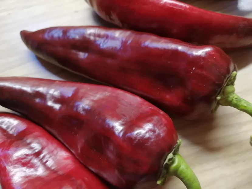  - SEMINTE ARDEI - A 87 MARCONI PURPLE