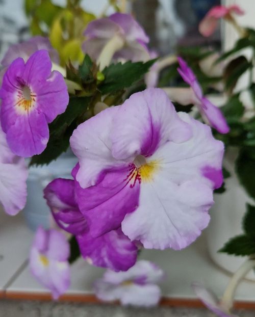 2023 - Humberto Vitorino R