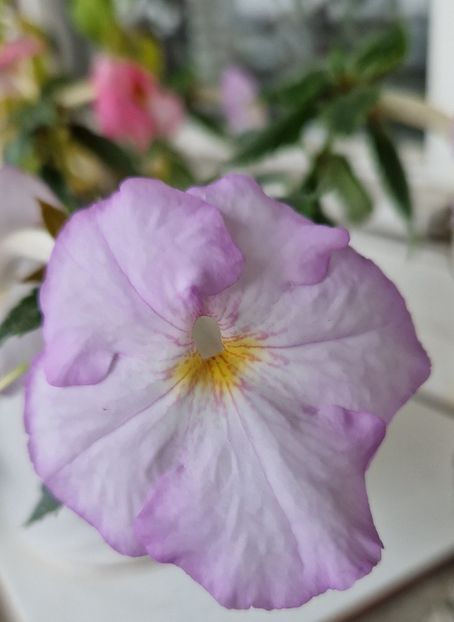 2023 - Humberto Vitorino R