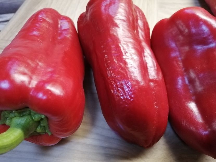  - SEMINTE ARDEI - A 80 MARINKA TONGUE