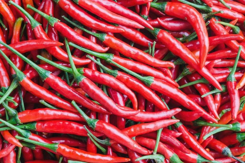  - SEMINTE ARDEI IUTE - AI 131 SPANISH CHILLI RED neizolat