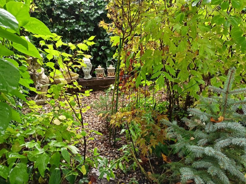  - Grădina 2023 continuare 5