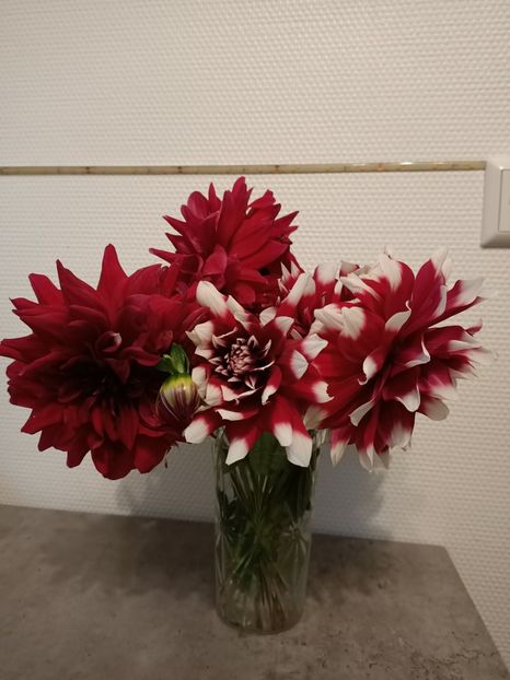 21.10.2023 - A doua grădină