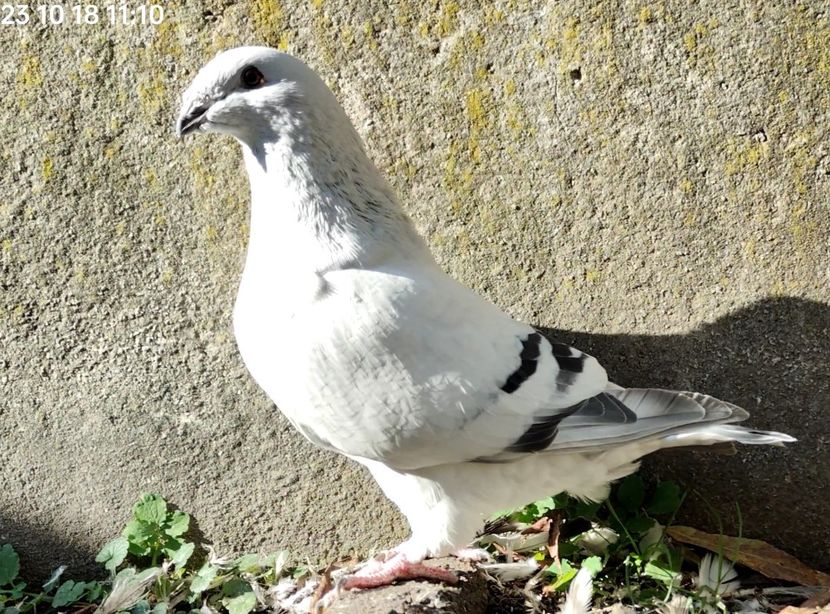 25 Archiwum - j- MLODE -2023- Youth