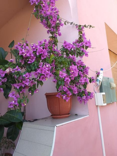 107570230_3079445728789237_6689455307883008168_n (1) - 2023