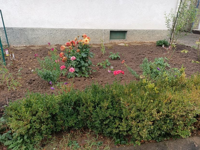 Img.2023.10.14 - A doua grădină