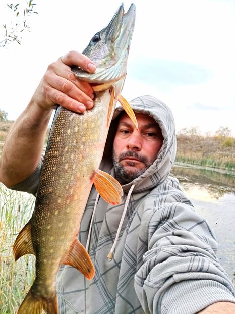 70 cm--2Kg - 11SPINNING LA STIUCA