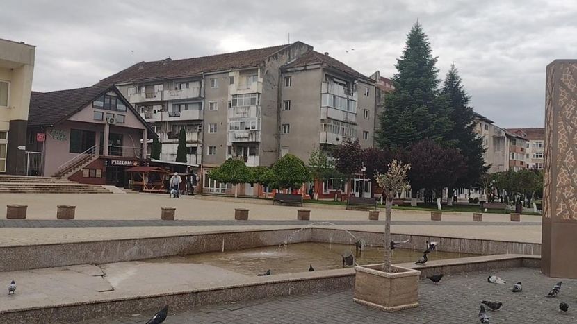 thumbnail (9) - Otelu Rosu-2023