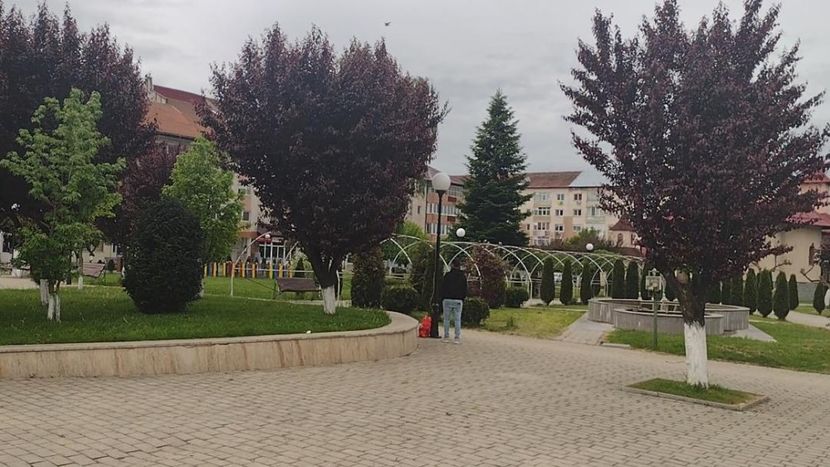 thumbnail (12) - Otelu Rosu-2023