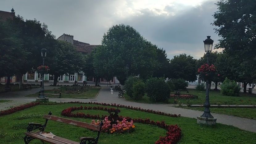 VID_20220702_083620395_exported_22579 - Medias-2022