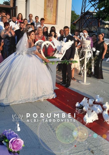 Porumbei albi la nunta în Dambovita Evenimente VIP - Porumbei Albi Dâmbovița