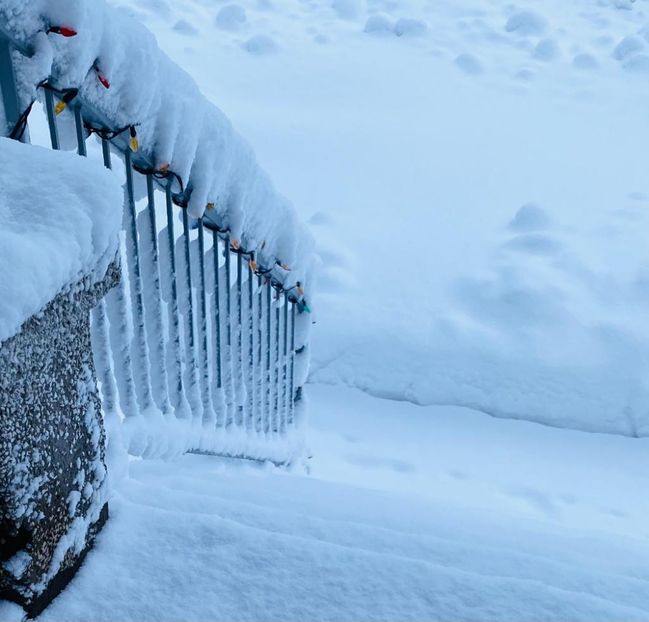 IMG-20210117-WA0015 - IARNA 2021