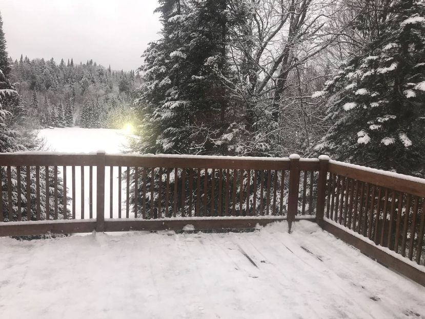 IMG-20180304-WA0026 - IARNA 2018