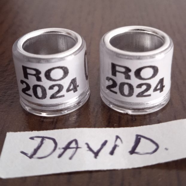 2024 - alb,8mm....-1 leu - Inele porumbei 2024 de vanzare
