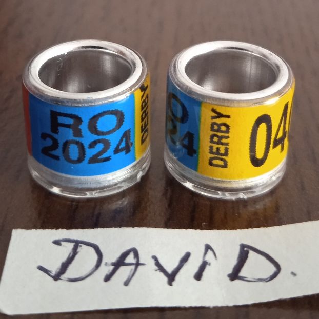 2024 - tricolor,8mm....-1 leu - Inele porumbei 2024 de vanzare