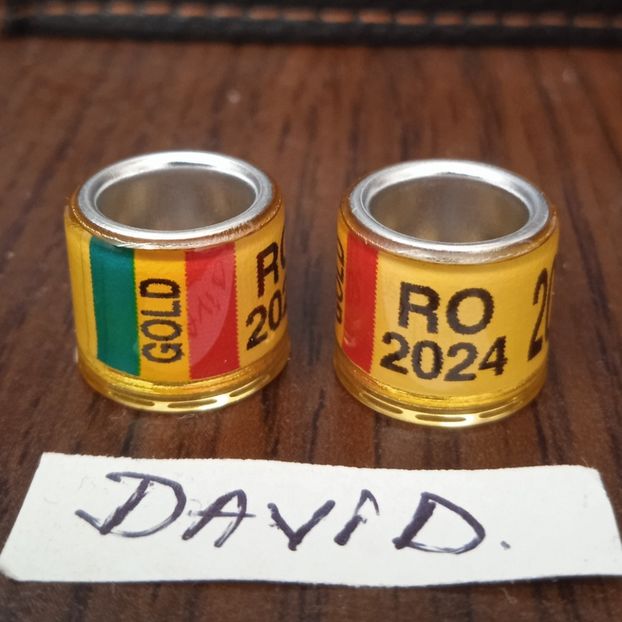 2024 - gold,8mm....-1,2 lei - Inele porumbei 2024 de vanzare