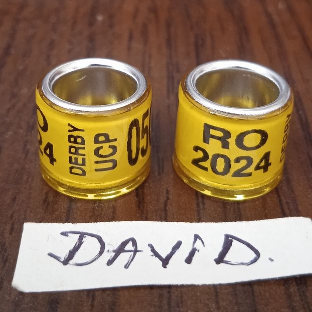 2024 - galben uco,8mm....-1 leu - Inele porumbei 2024 de vanzare