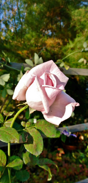  - 2023 - 03 - Toamna