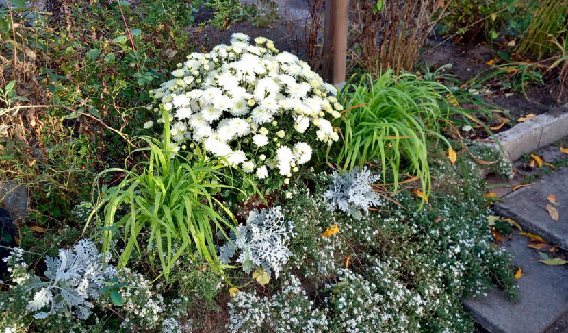  - 2023 - 03 - Toamna