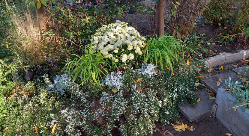  - 2023 - 03 - Toamna