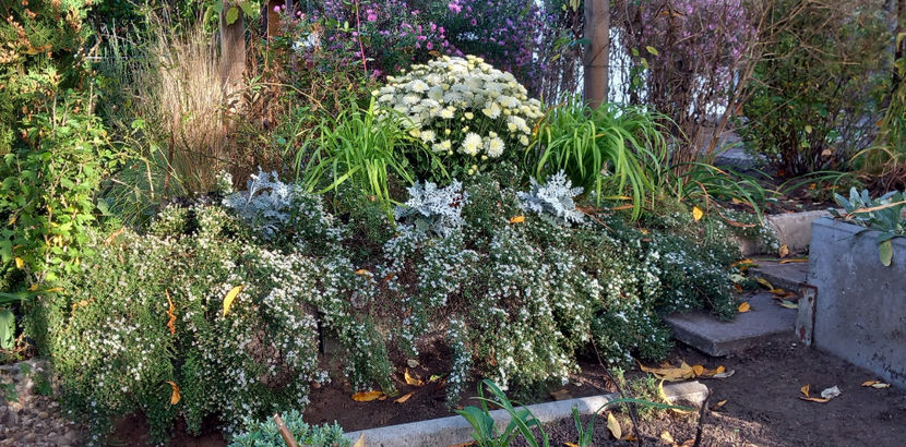  - 2023 - 03 - Toamna