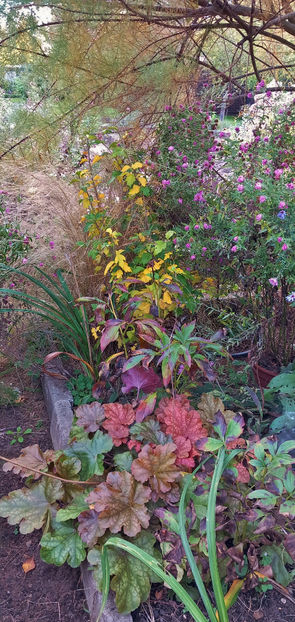  - 2023 - 03 - Toamna