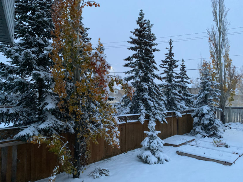  - Jurnalul gradinii 2023