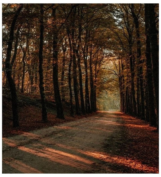 ♡ Oᥴtobᥱr 25 » „N-am uitat nici acum vechile intalniri, mă priveai și uitai să mai respiri.. și - Tomnatic și nostalgic