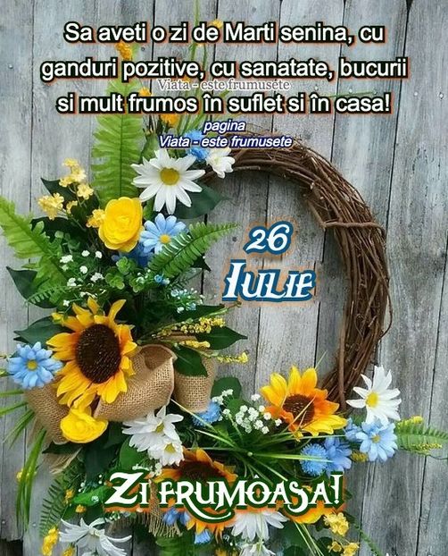 097062b8-82da-441f-a2db-8cbe6ad8a340 - 2023 GRĂDINA