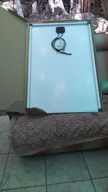 fcc75bb1-3641-4430-a2d1-89f12fc6e4bf - 2023 GRĂDINA