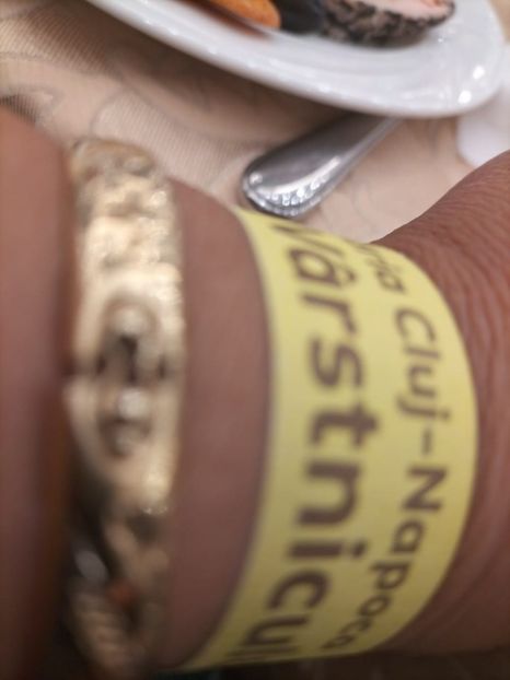 IMG-20231002-WA0008 - 2023 PETRECERE PENSIONARI 15 octombrie